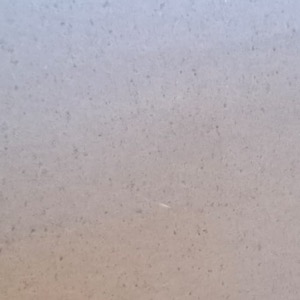 Naxos White (Electra)